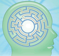 The Alzheimer’s Brain