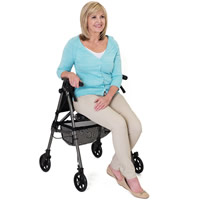 EZ Fold-N-Go Rollator