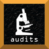 Audits