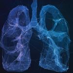 lungs